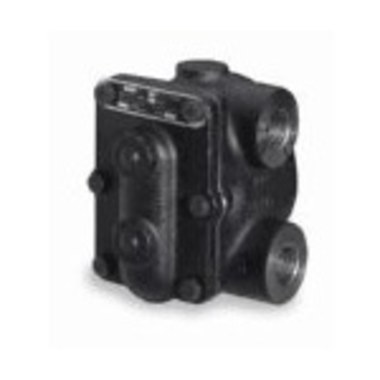 Steam Trap