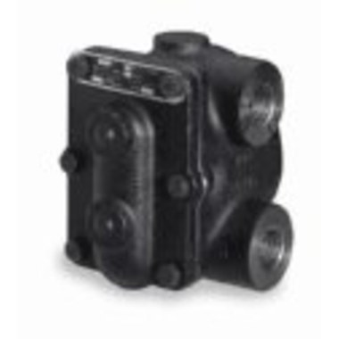 Steam Trap