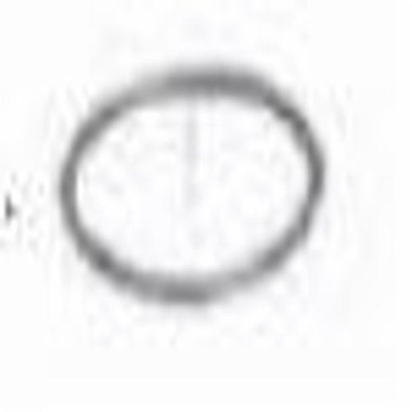  O-Ring