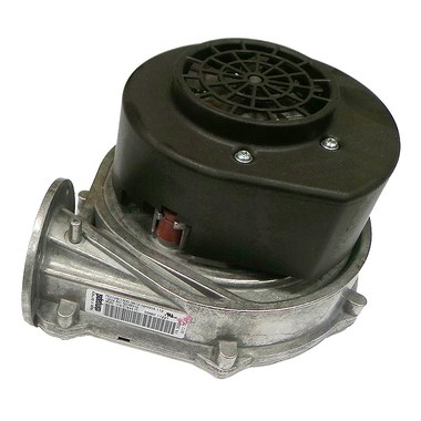 Combustion Blower