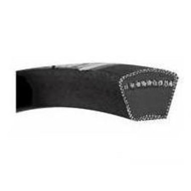 V Belt