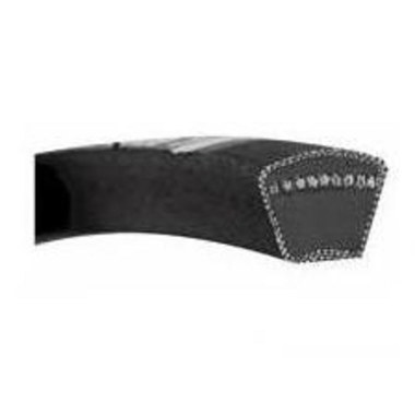 V Belt