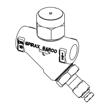 Steam Trap