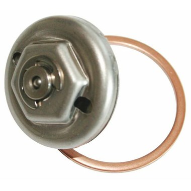 Steam Trap