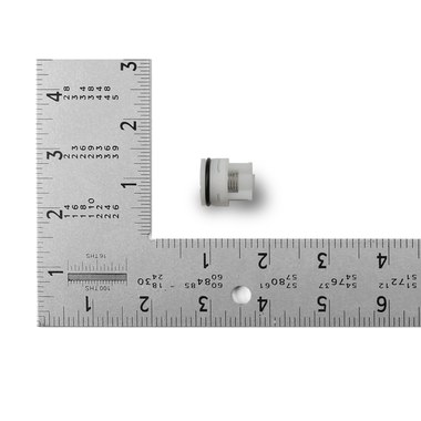 Check Valve