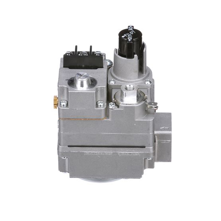 Gas Valve