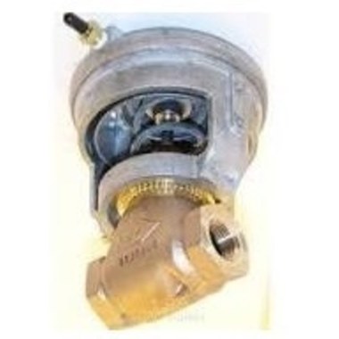 Globe Valve